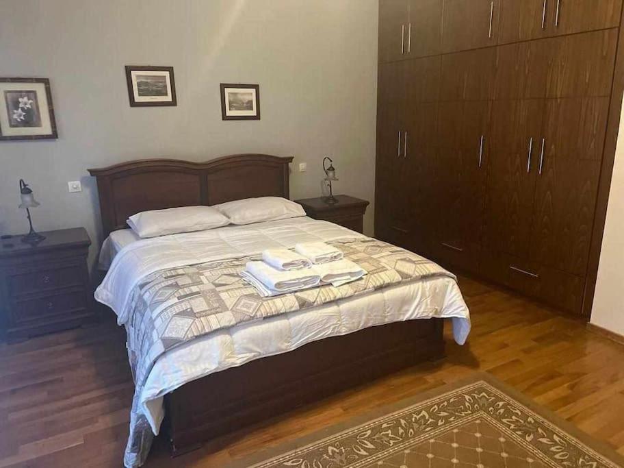 فيلا Το Σπίτι Του Μύλου Των Ξωτικών Tríkala المظهر الخارجي الصورة